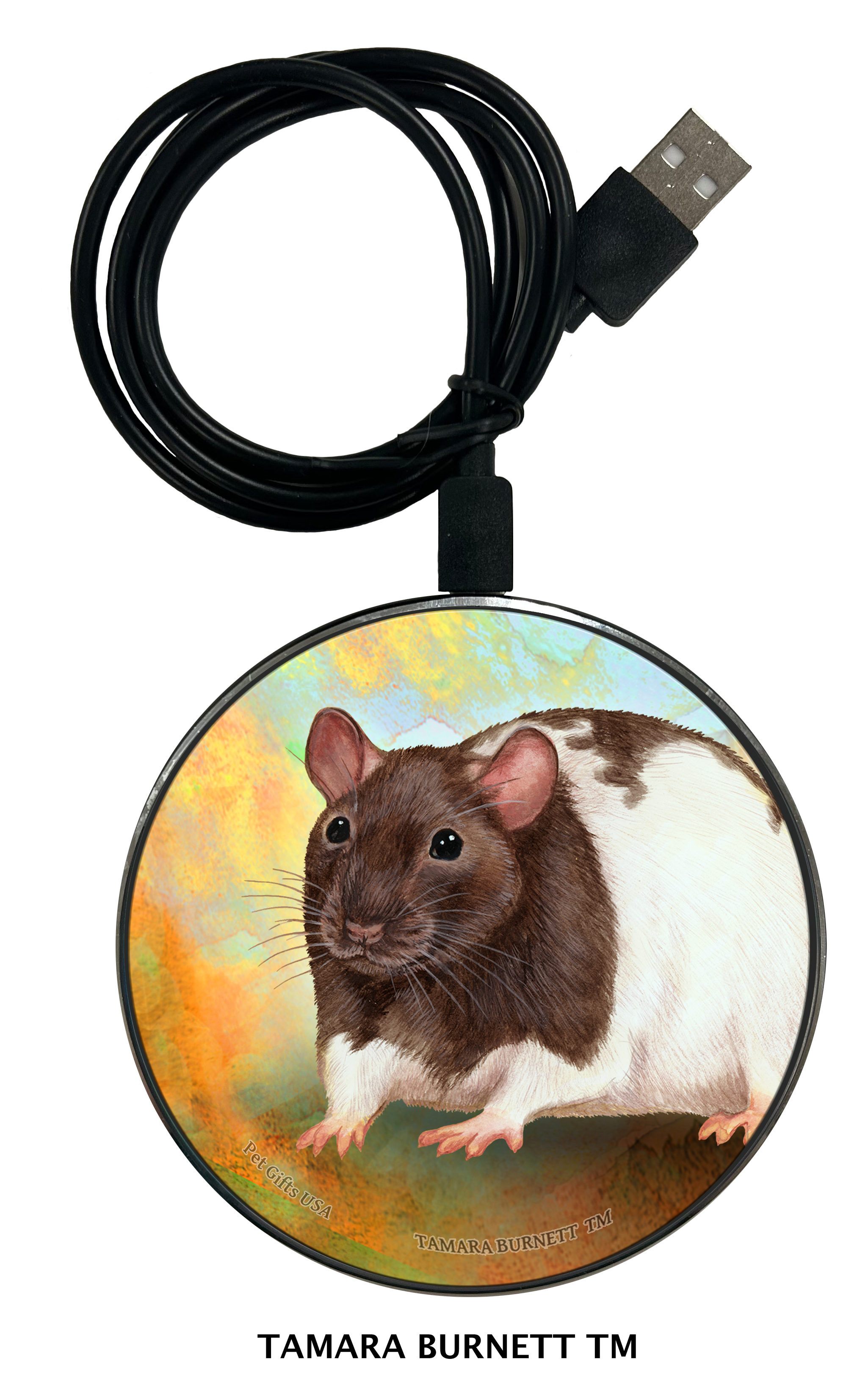 Zoomies Chargers sample image